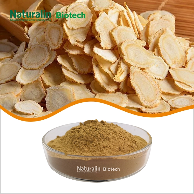 American Ginseng Extract Powder